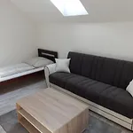 V Soukromi U Podebrad בית הארחה 3*