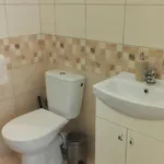 V Soukromi U Podebrad בית הארחה Opolany