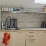 בית הארחה V Soukromi U Podebrad 3*