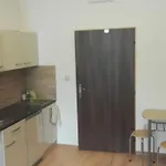 בית הארחה V Soukromi U Podebrad