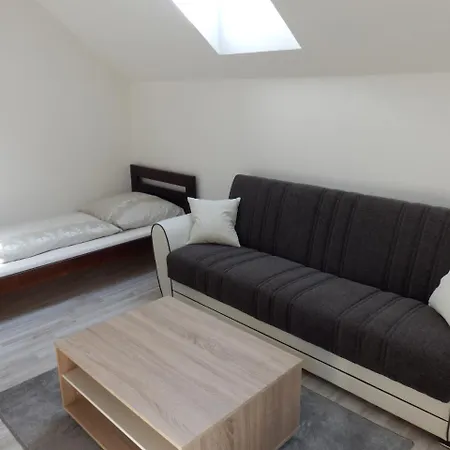 V Soukromi U Podebrad Guest house 3*