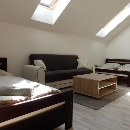 V Soukromi U Podebrad Guest house 3*