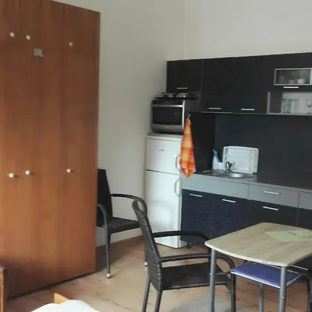 Guest house V Soukromi U Podebrad 3*