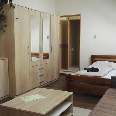 Guest house V Soukromi U Podebrad 3*