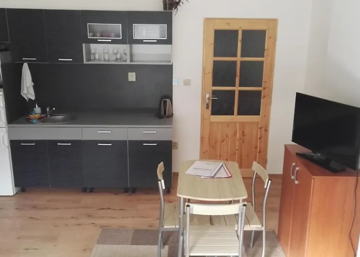 V Soukromi U Podebrad 3* Opolany