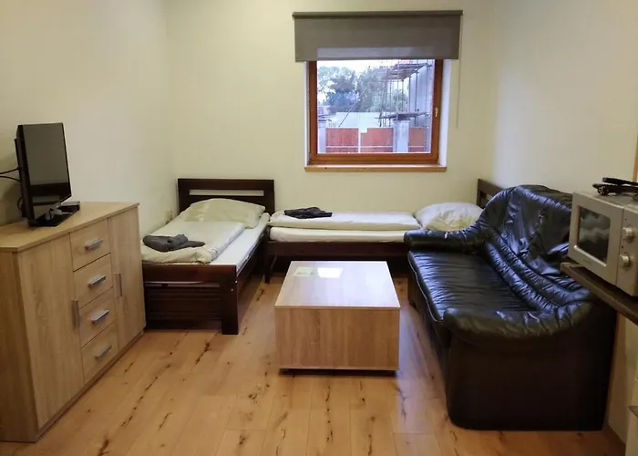 V Soukromi U Podebrad Guest house Opolany