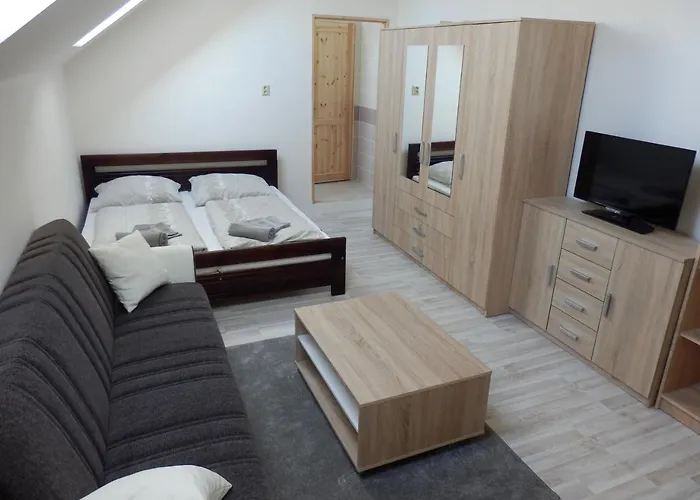 Guest house V Soukromi U Podebrad 3*