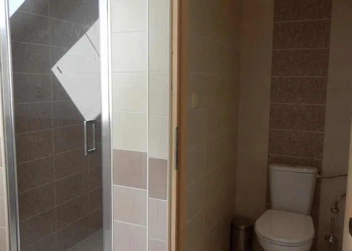 V Soukromi U Podebrad Opolany