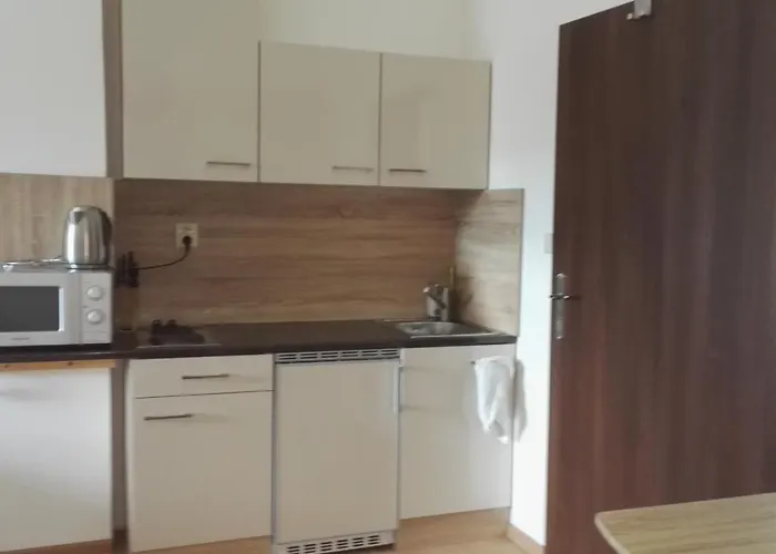 Guest house V Soukromi U Podebrad 3*