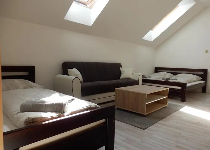 V Soukromi U Podebrad Guest house 3*