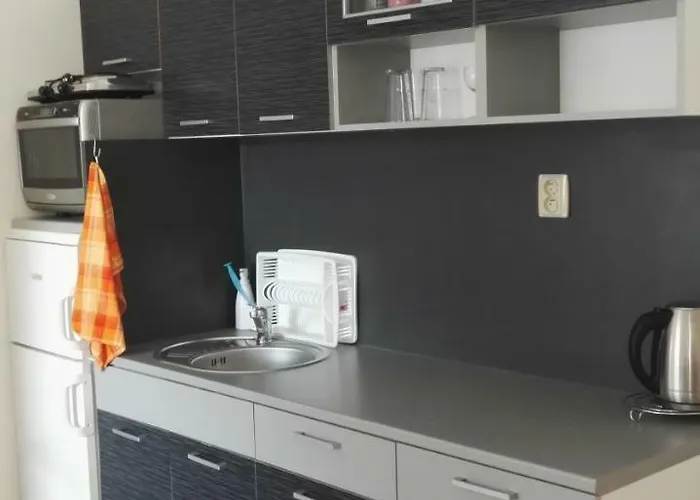 Guest house V Soukromi U Podebrad Opolany