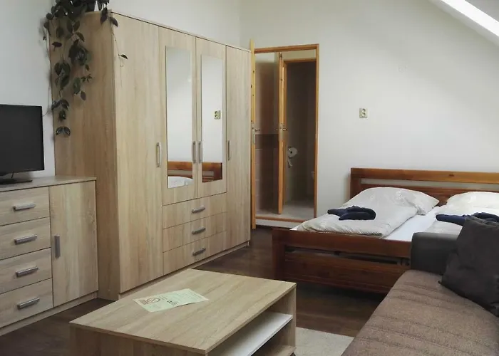 Guest house V Soukromi U Podebrad 3*