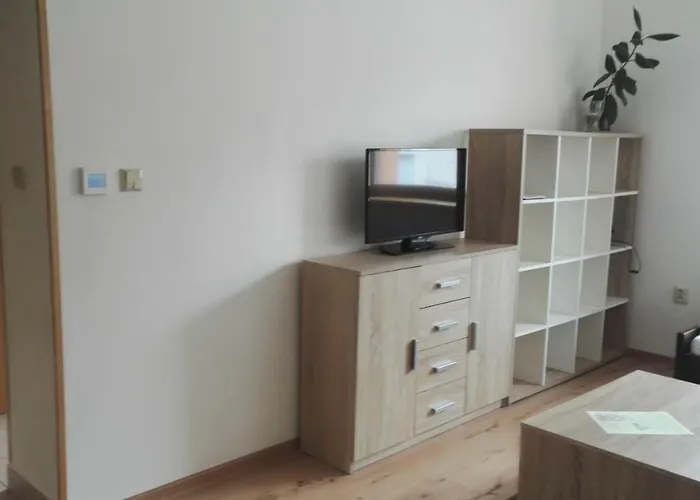 Guest house V Soukromi U Podebrad 3*