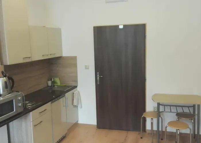 Guest house V Soukromi U Podebrad